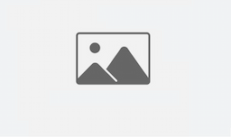 image loader